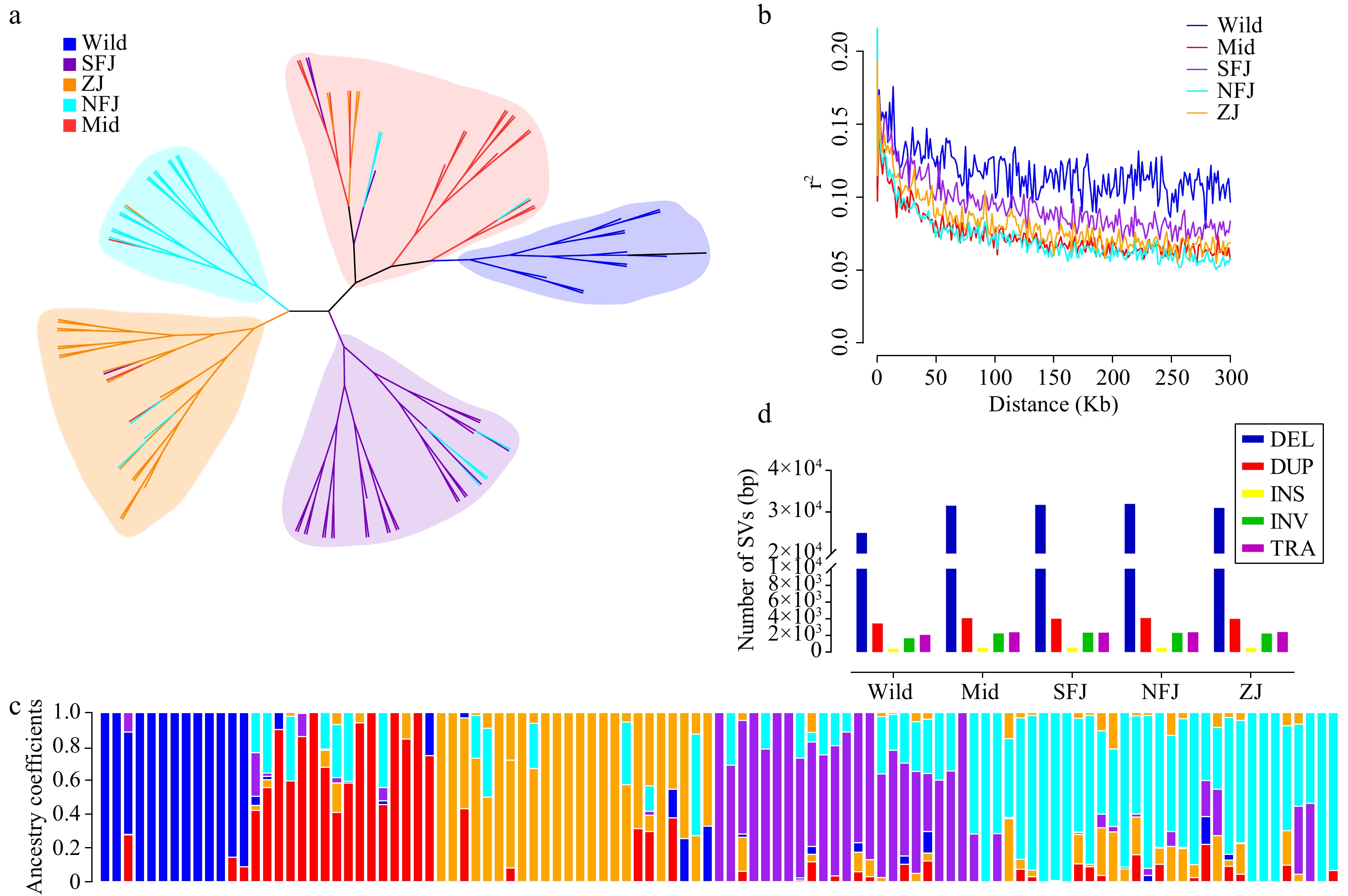 Evolutionary genomics of structural variation in the tea plant ...