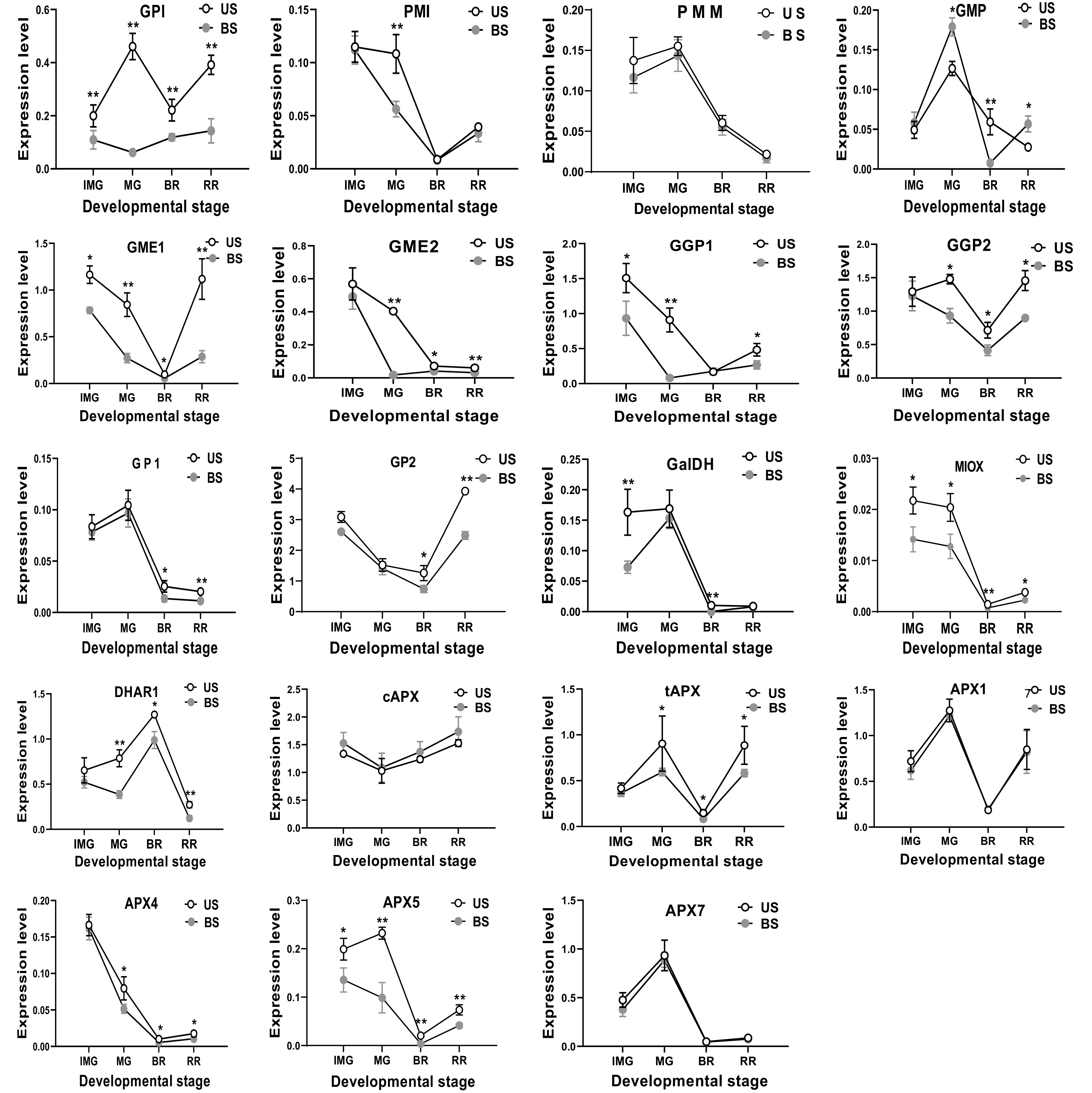 Effect of shading on ascorbic acid accumulation and biosynthetic gene ...
