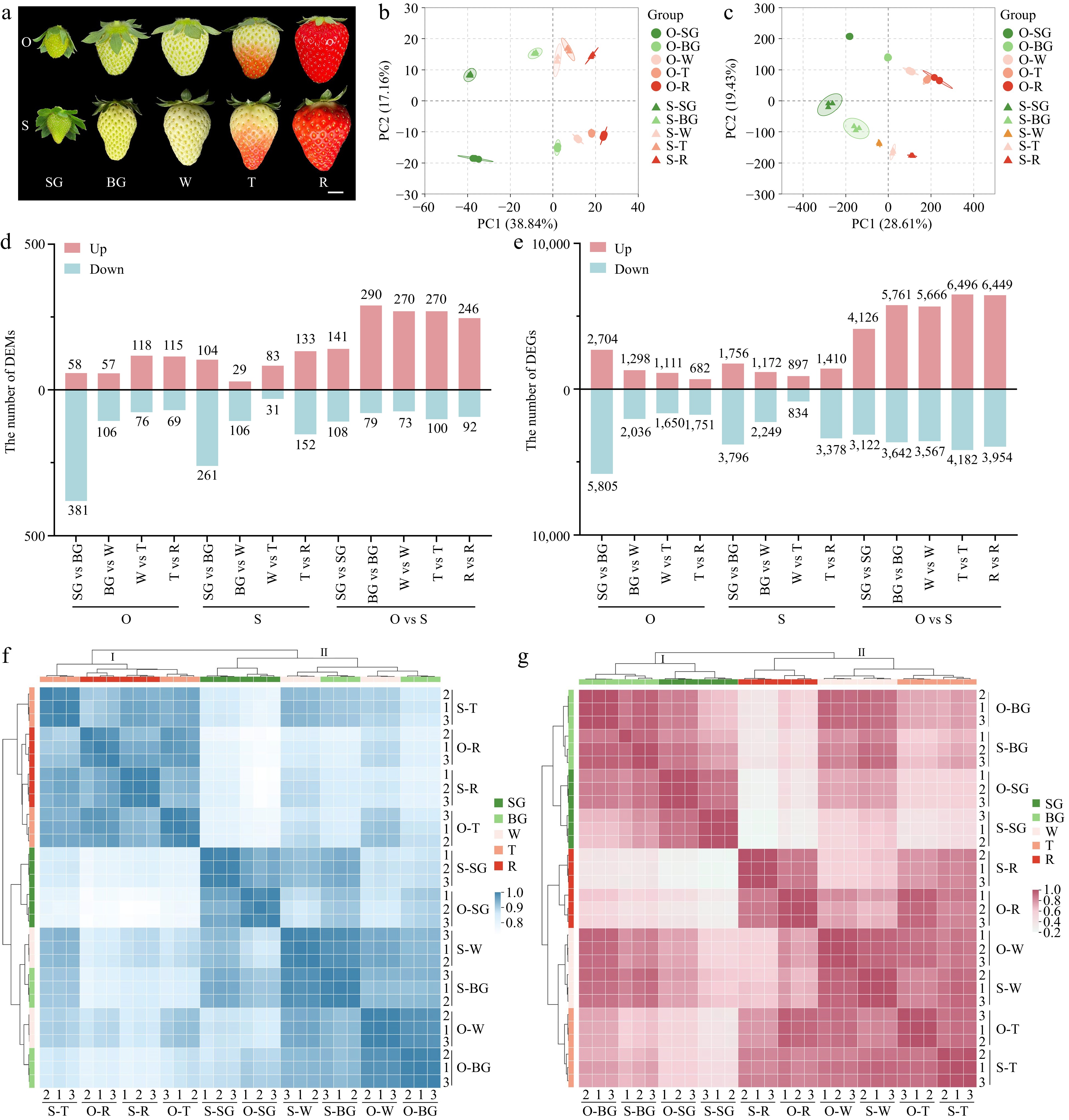 Integrative Analysis Of Metabolome And Transcriptome Reveals New