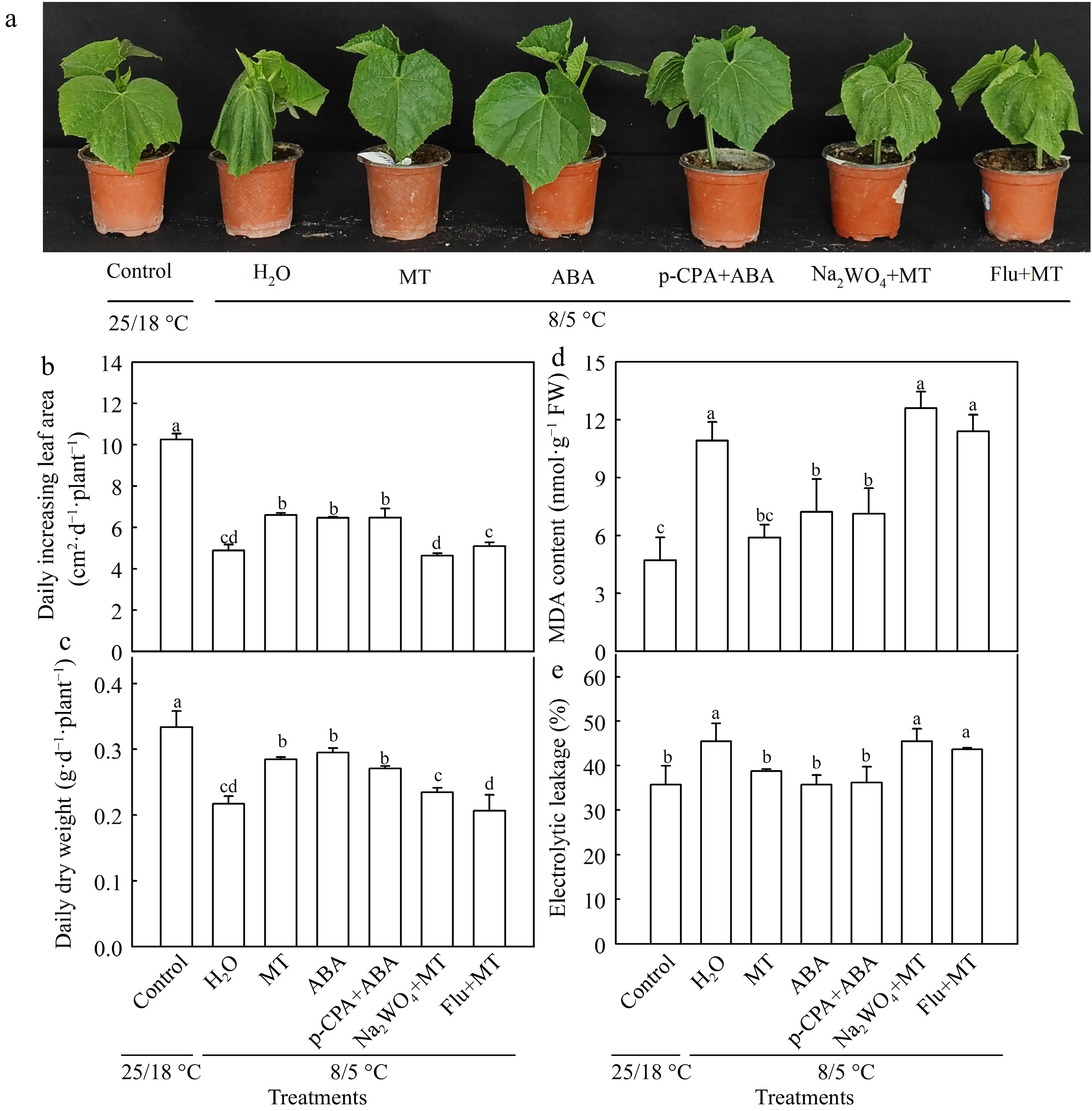 Abscisic acid participates in melatonin-induced chilling tolerance of ...
