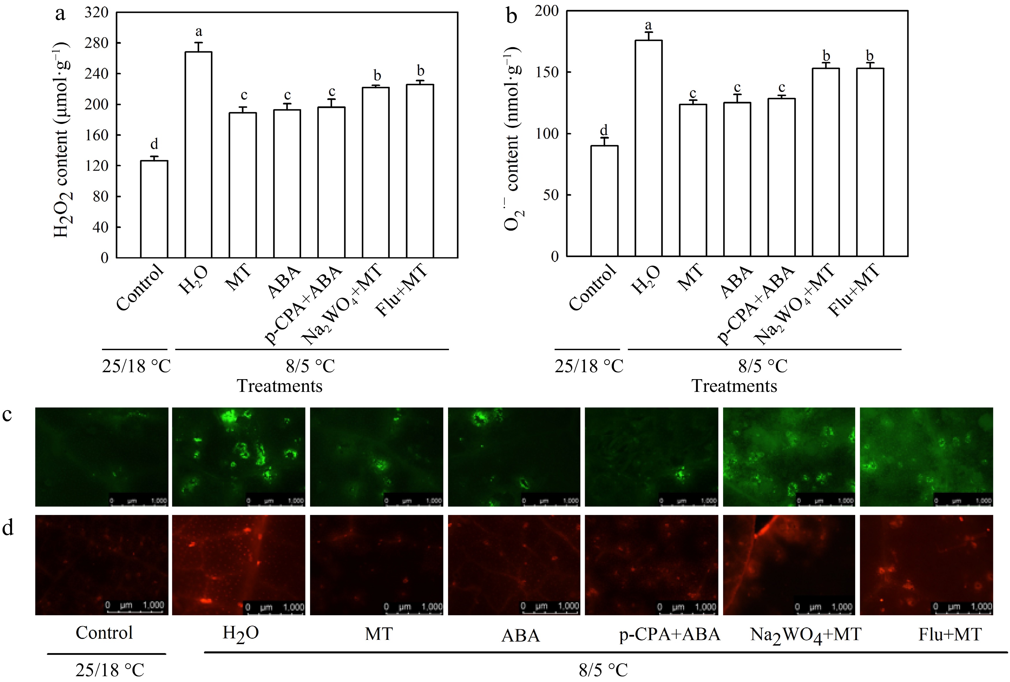 Abscisic acid participates in melatonin-induced chilling tolerance of ...