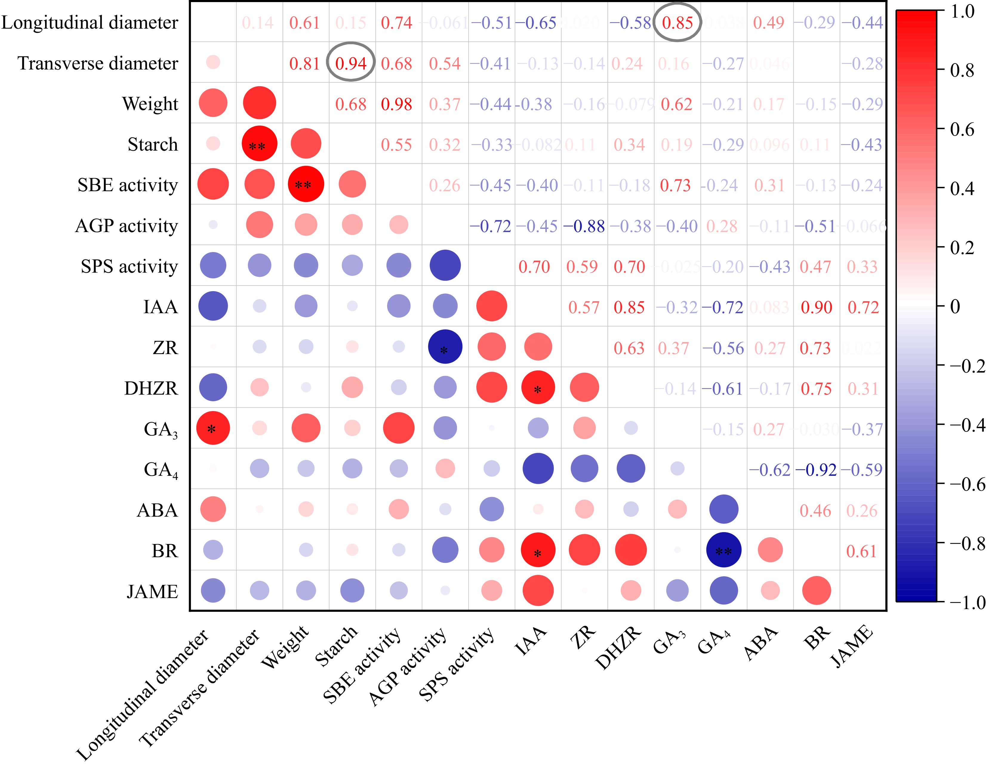 Cormel Example Integrated physiological characters and transcriptome analyses reveal ...