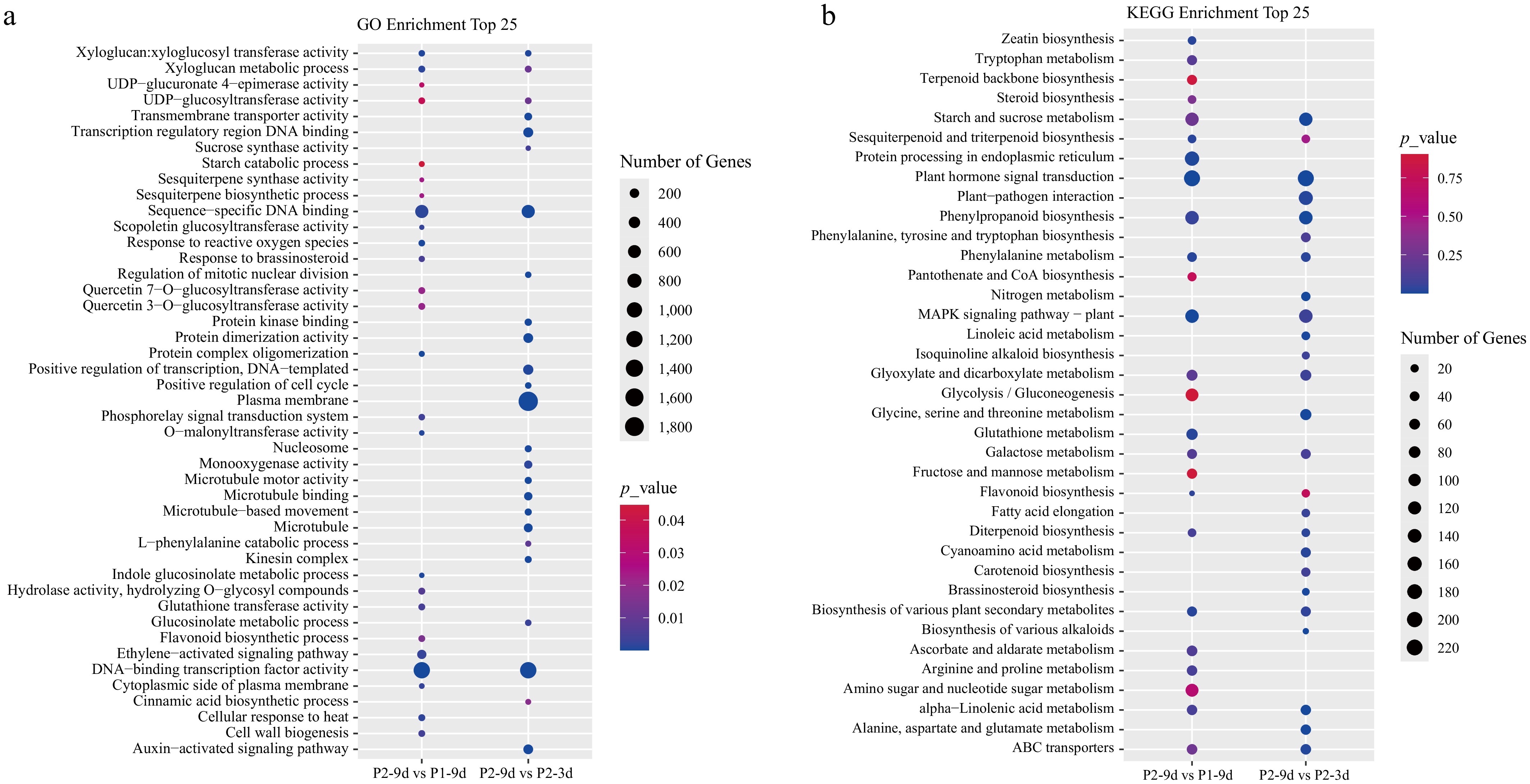 Integrated transcriptome and metabolome analysis revealed key genes ...