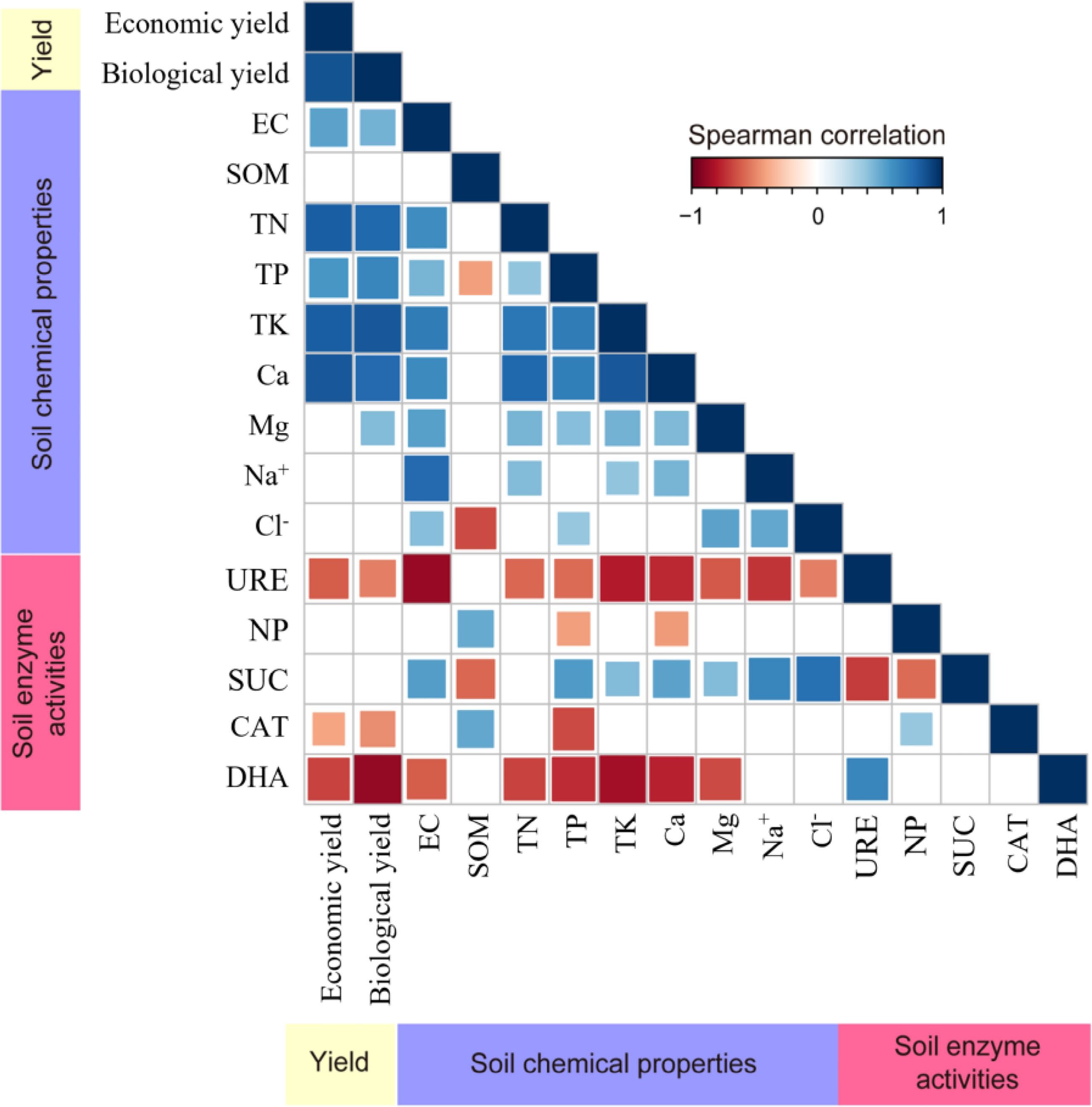 Evaluation Of The Impact Of Different Summer Catch Crops On Continuous evaluation-of-the-impact-of-different-summer-catch-crops-on-continuous