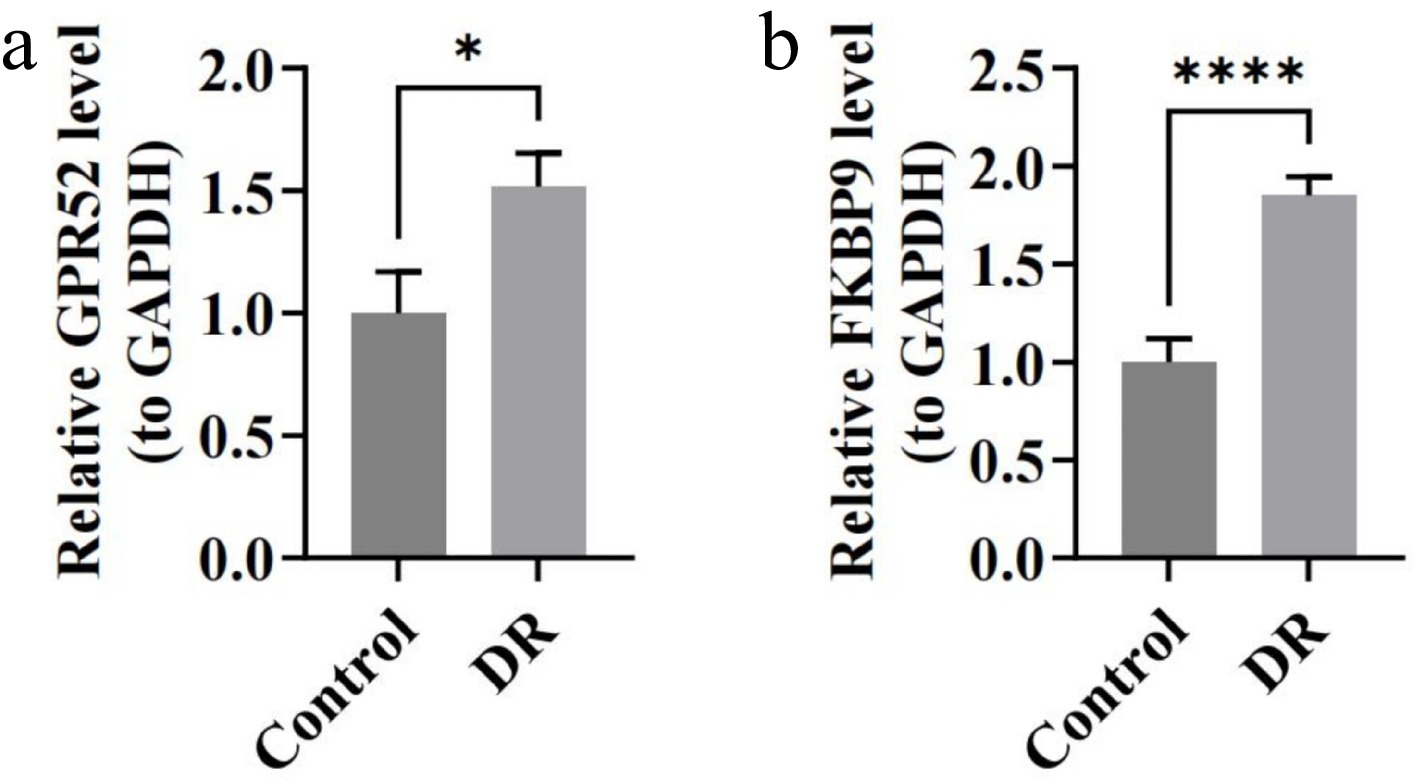 Mitochondrial unfolded protein response in diabetic retinopathy ... image.