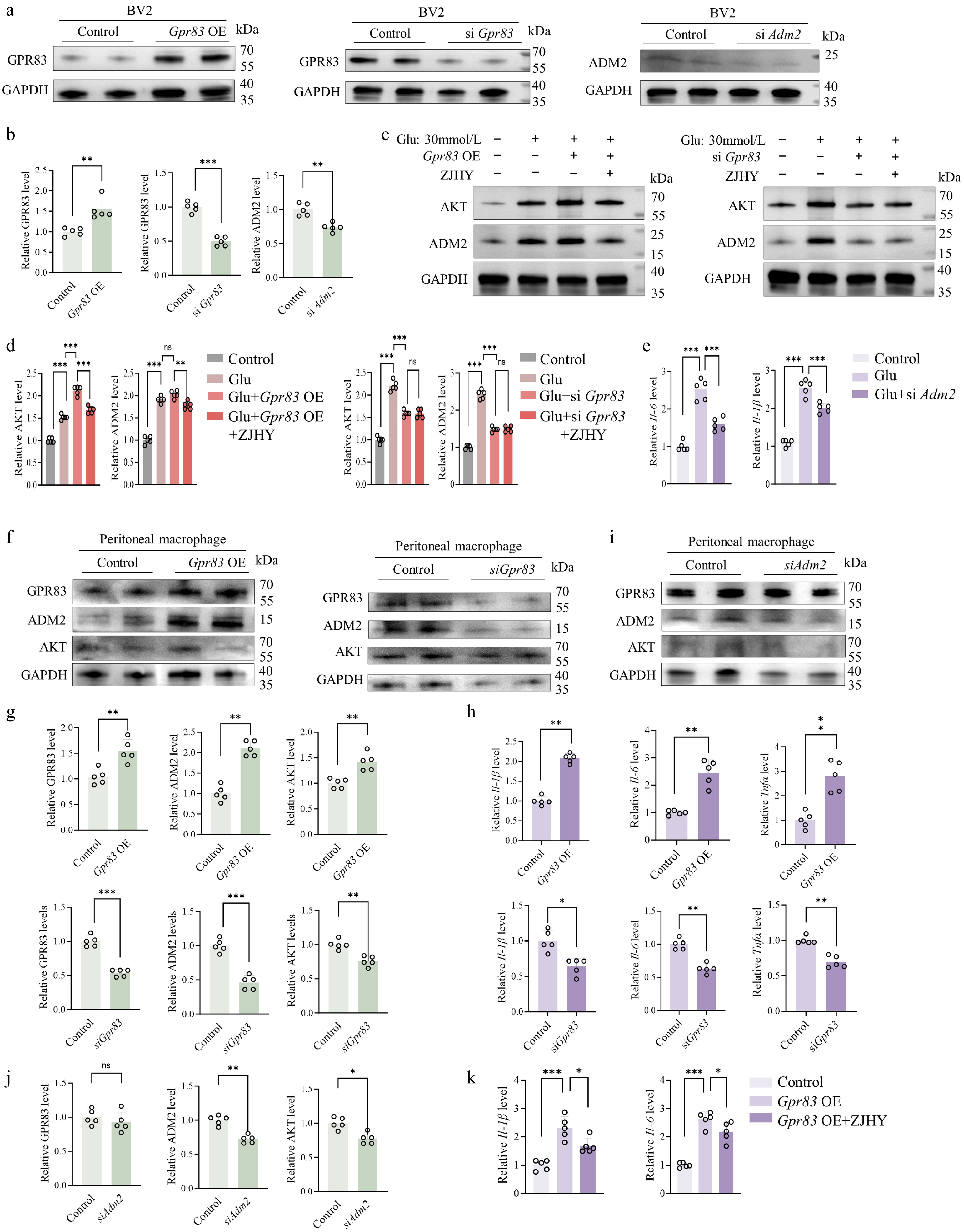 ZJHY formula protects against diabetic retinopathy and nephropathy via ...